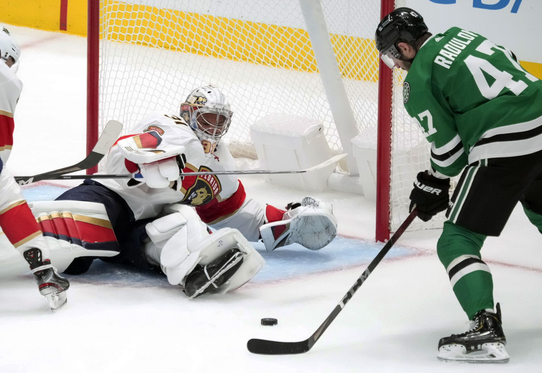 APTOPIX Panthers Stars Hockey